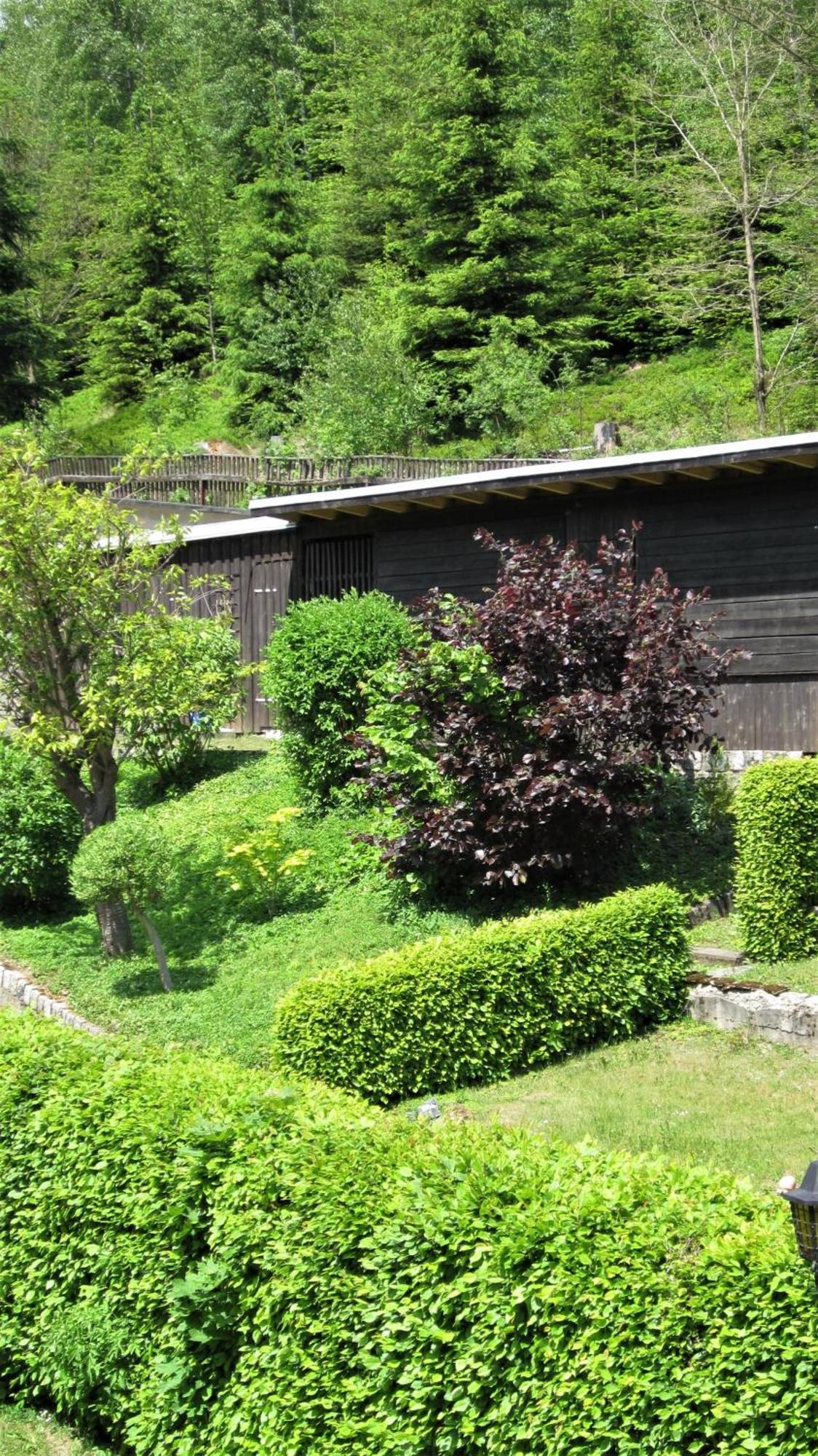 Gasthof Rodachtal Mit Gaestehaus Katharina Шварценбах-ам-Вальд Номер фото