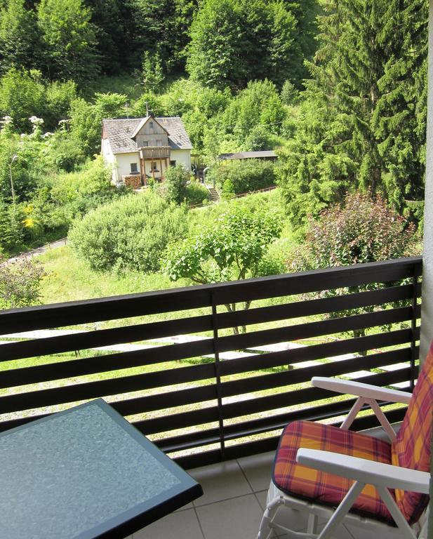 Gasthof Rodachtal Mit Gaestehaus Katharina Шварценбах-ам-Вальд Номер фото