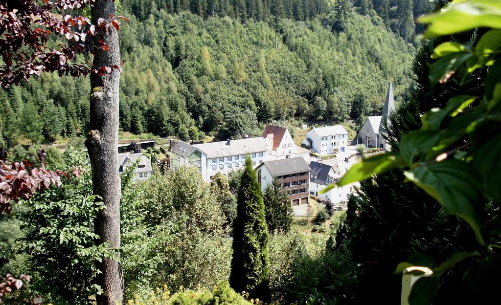 Gasthof Rodachtal Mit Gaestehaus Katharina Шварценбах-ам-Вальд Екстер'єр фото